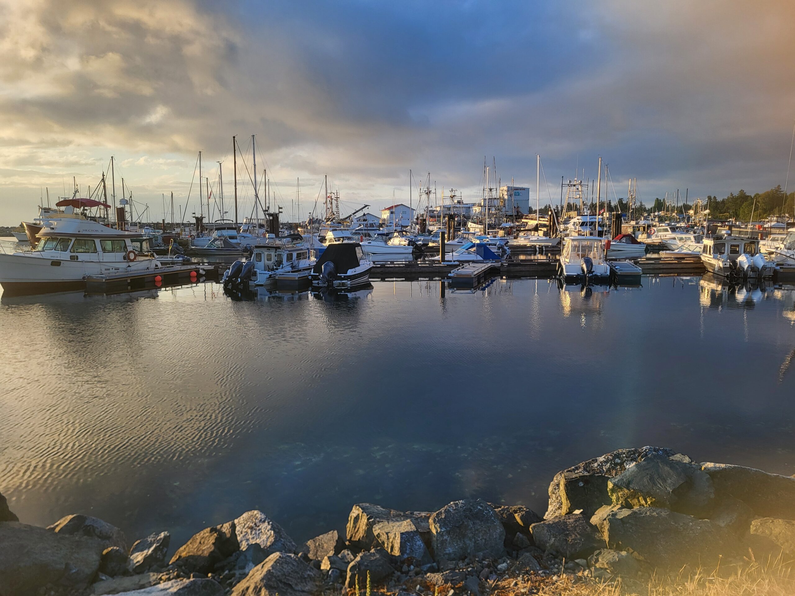 Marina at dusk