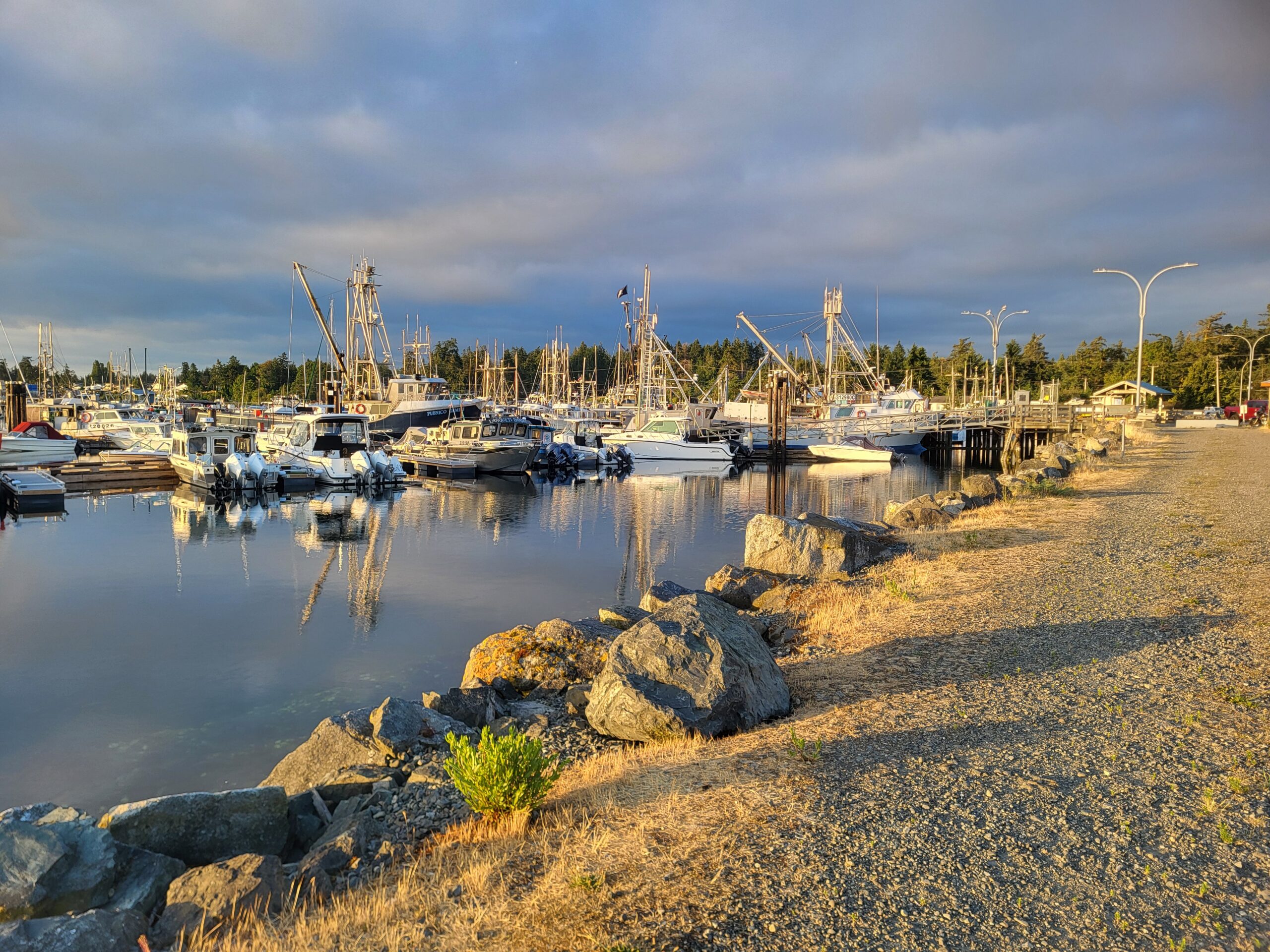 Boats in the harbour