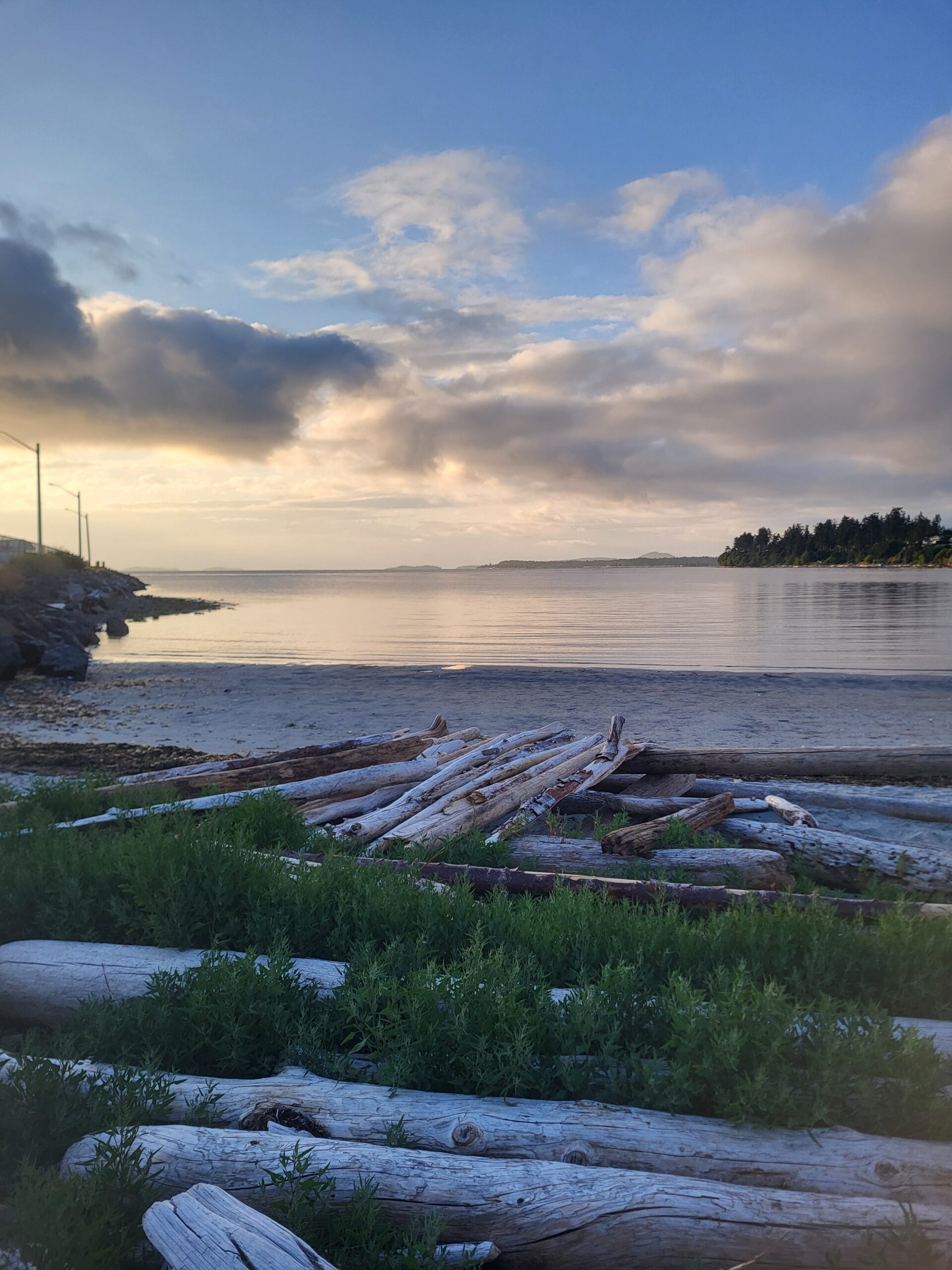 Driftwood and sunset on the beach