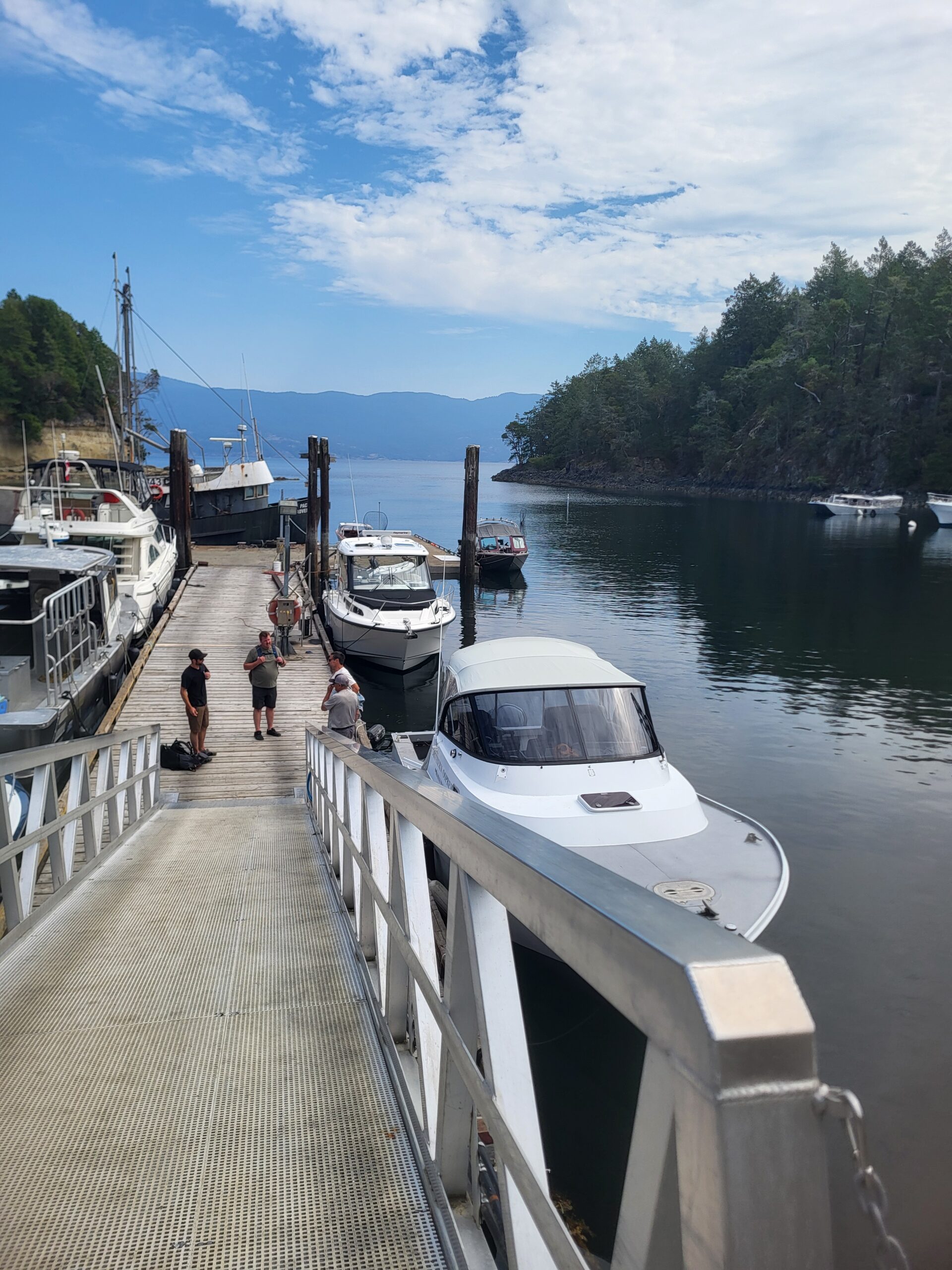 Marina dock with mountain views