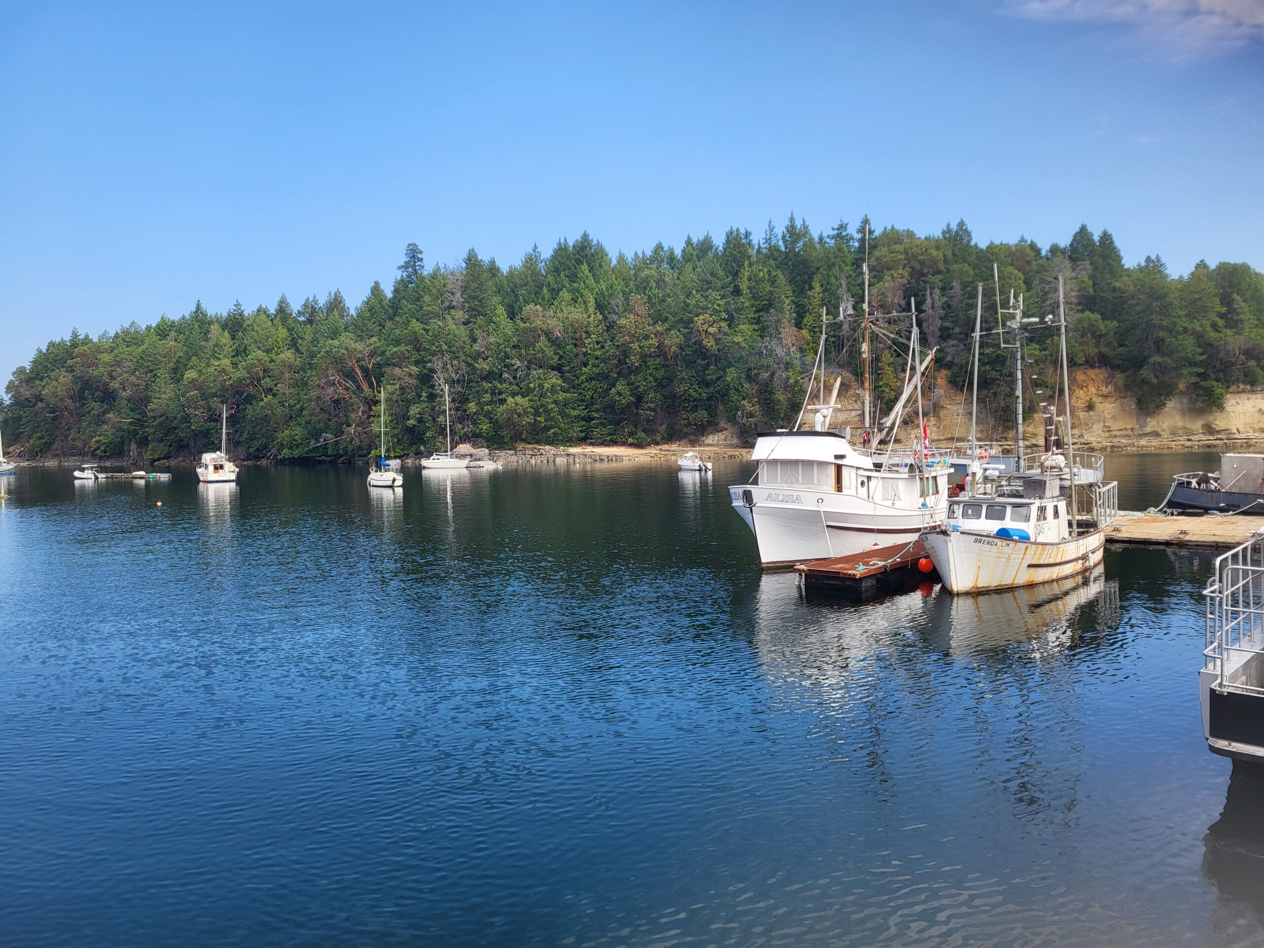 Boats moored at the marina